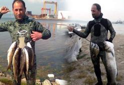 Balık avlamak için girdiği denizde kaybolmuştu! 22 gün sonra acı haber