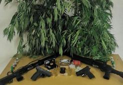 Çiftliğe uyuşturucu baskını! 2 kişi gözaltına alındı