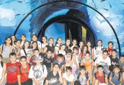 Yazın tadını çıkarıyorlar