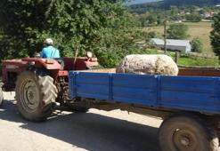 Köyü karıştıran 250 yıllık sütunlar ünlü ailenin villasından çıktı