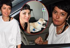 Köpeği ameliyat olan Ezgi Mola duygusal anlar yaşadı