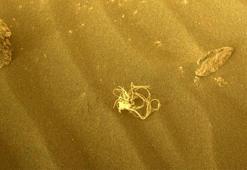 NASA, Mars'taki 'uzaylı yosununun' sırrını çözdü