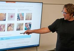 DSÖ: Maymun çiçeği virüsü maymunlarla bağlantılı değil