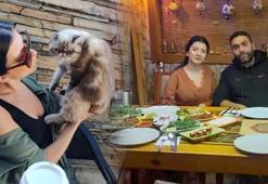 Boşanma aşamasındaki eşinin vurduğu Ezgi, hayatını kaybetti