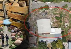 İstanbul’da 'Amfora' ve 'Pitos' tarlası