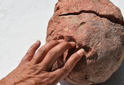 Ulucak Höyüğü'ndeki kazılarda bulunmuştu! Ne olduğu belirlendi