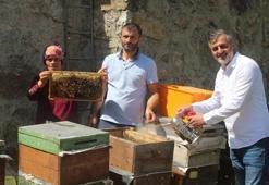 Anzer balında sağım başladı; 1 ton ön sipariş var