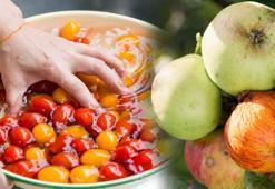 Meyve-sebzede olmalı mı yoksa olmamalı mı? Herkes onu konuşuyor: Pestisit