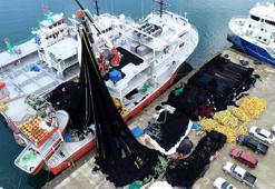 Karadeniz'de yeni balık avı sezonu hazırlığı