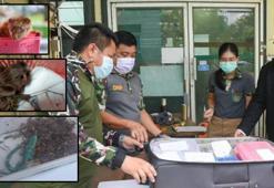 Havalimanında yapılan kontrol sırasında fark edildi! 17 hayvan çıktı