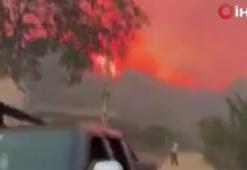 Aşırı sıcaklar Çin'de orman yangınlarını tetikledi