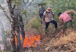 Tunceli'de ormanda örtü yangını söndürüldü