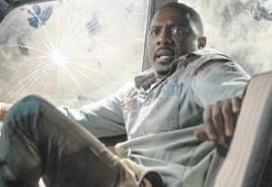 Dev bir kedi gördüm sanki!