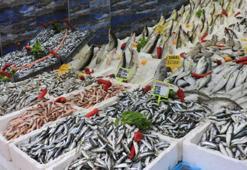 Balıkçılara indirimli tarım kredisi