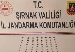 Şırnak'ta 31 şüpheliye 'kaçakçılık' gözaltısı