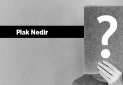 Plak Nedir? Plak Tdk Sözlük Anlamı Ne Demek?