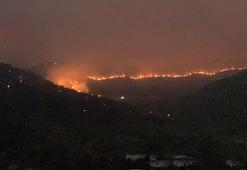 Mersin'deki yangın büyüdü, ekipler bölgede! Silifke'ye sıçradı