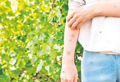 Öldüren Nil Virüsü kapımıza dayandı