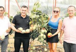 ‘Yerli mango milyar dolara koşabilir’