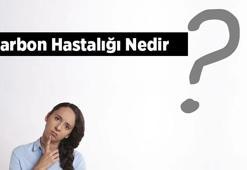 Şarbon Hastalığı Nedir, Belirtileri Nelerdir? Şarbon Hastalığı Tedavisi Nasıl Yapılır?