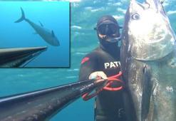 Zıpkınla 100 kiloluk orkinos avladı