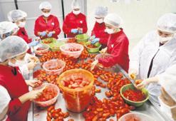 Ürünler çeşitleniyor