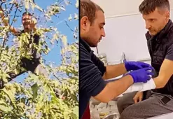 Ağaçtan düşüp hastanelik oldu! İşte Sinan Özen'in son durumu