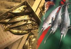 Gürpınar Hali'nde denetim! Yasak avlanan 1 ton balığa el konuldu