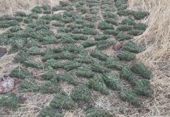 İçişleri Bakanlığı: Diyarbakır'da 596 kilo esrar ele geçirildi ​