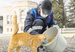 Türk iş dünyasından ‘mama’ seferberliği