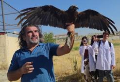 Van'da tedavileri tamamlanan 300 yabani hayvan doğaya bırakıldı