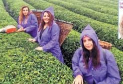 Rize Günlüğü