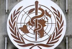 Dünya genelinde maymun çiçeği vakaları 70 bini aştı