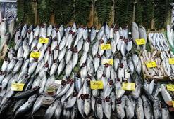 Balık tezgahlarında palamut bolluğu devam ediyor