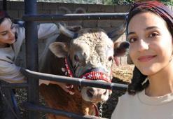 Genç kızın boğa sevgisi hayatını değiştirdi!