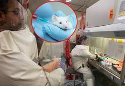 ABD ateşle oynuyor! Laboratuvarda yaratıldı, yüzde 80 öldürüyor...