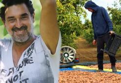 Burak Hakkı ceviz hasadına başladı