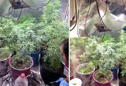 Yatak odasına uyuşturucu serası kurmuş