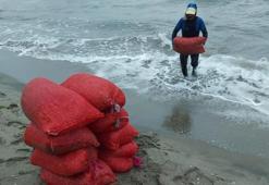 Tam 53 çuval! Bursa'da 2 tonluk kaçak midye ele geçirildi
