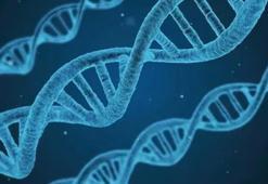 700 yıl önce koruyan gen hasta ediyor