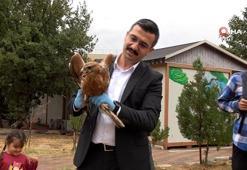 Şırnak’ta tedavisi tamamlanan kumru, kartal ve kızıl şahin doğaya bırakıldı