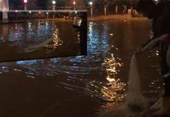 Siirt'te ilginç görüntü! Sağanak sonrası caddeye ağ attı