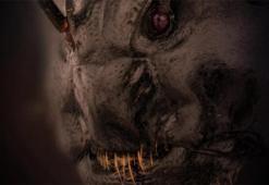 Karıncanın yüzüne yakından bakın! Dehşete düşüren fotoğraf