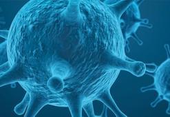 Hibrit virüs endişesi