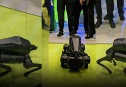 SARBOT fuara damgasını vurdu