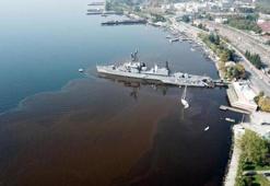 İzmit Körfezi alg çoğalmasıyla kahverengiye döndü