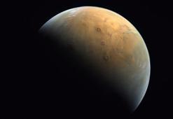 280 milyon yıl boyunca hayatta kalabiliyorlar!