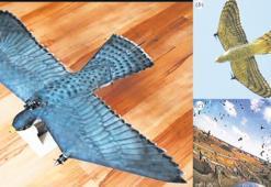 Şahin görünümlü drone