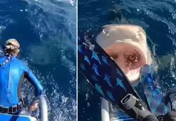 Köpek balığına yem olacaktı! Saniyelerle kurtuldu...