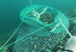 Marmara Denizi'nde kaçak avlanan 1 ton midye ele geçirildi